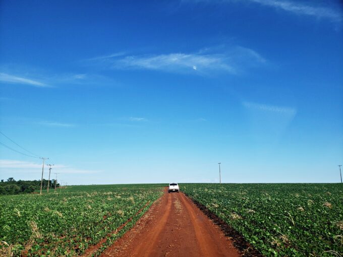 Campo en venta en Alto Paraná (Paraguay)- Distrito de Minga Porá 561 hectáreas con plantación de maíz, trigo, chía y avena.