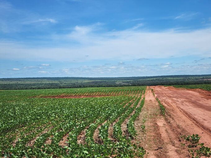 Vendo campo formado de 2.000 hectareas en el Departamento de San Pedro – Zona Rio Verde Region Oriental – Paraguay