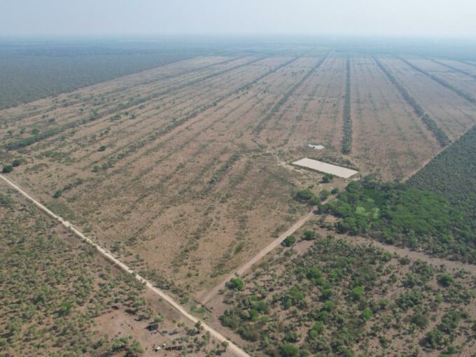 Campo ganadero en venta 11.574 hectareas, en Bajo Chaco Paraguayo. Zona Montelindo.